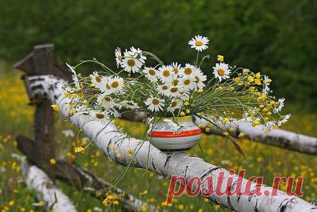 УКРАШАЕМ УЧАСТОК
