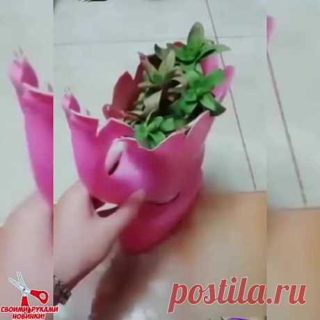 И снова пластик. Используем с пользой 👍👍👍❤