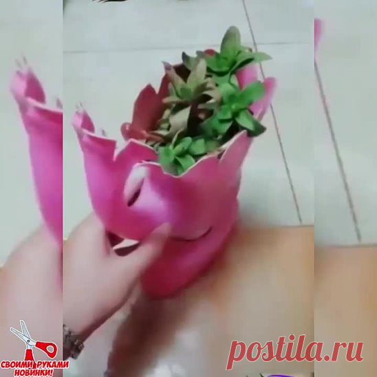 И снова пластик. Используем с пользой 👍👍👍❤