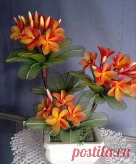 (673) Pinterest