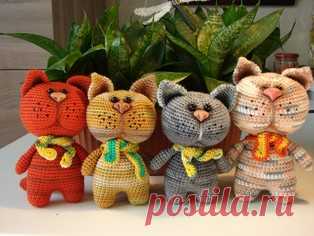 Котик
