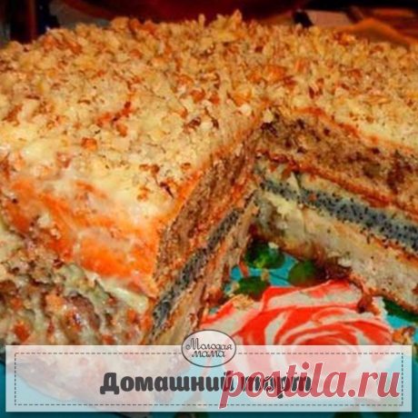 Светлана Лисаченко
