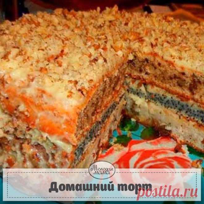 Светлана Лисаченко