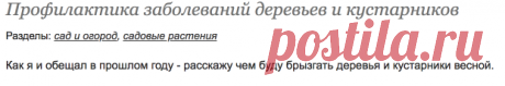 Профилактика заболеваний деревьев и кустарников: Дневник пользователя rokonon