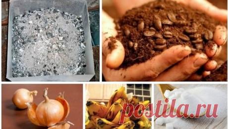 Органические подкормки 

Зольная подкормка 
Древесная или соломенная зола в органическом земледелии считается одним из лучших источников калия и фосфора, соответственно подкормка зольным настоем рассады или цветов — прекрасным помощником в стимуляции цветения и плодоношения. 
Рецепт настоя прост: 1 столовая ложка золы на 2 литра горячей воды. Подкормка настаивается 24 часа, затем процеживается. 
Удобрение золой может быть полезно: всем овощным культурам и комнатным растени...