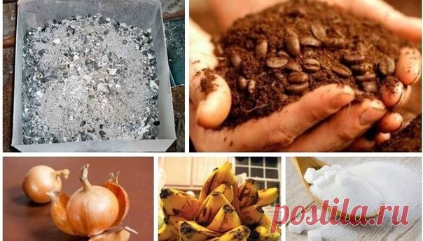 Органические подкормки 

Зольная подкормка 
Древесная или соломенная зола в органическом земледелии считается одним из лучших источников калия и фосфора, соответственно подкормка зольным настоем рассады или цветов — прекрасным помощником в стимуляции цветения и плодоношения. 
Рецепт настоя прост: 1 столовая ложка золы на 2 литра горячей воды. Подкормка настаивается 24 часа, затем процеживается. 
Удобрение золой может быть полезно: всем овощным культурам и комнатным растени...