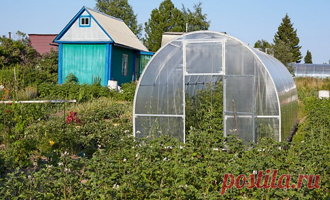 Обзор парников для огурцов (с фотографиями) | Дела огородные (Огород.ru)