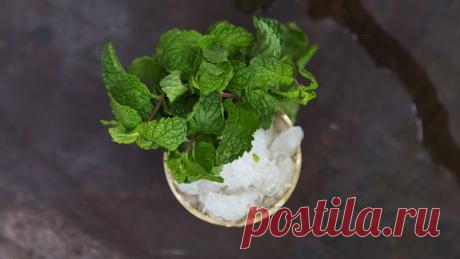 Десять причин любить и постоянно использовать мяту - KitchenMag.ru