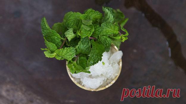 Десять причин любить и постоянно использовать мяту - KitchenMag.ru