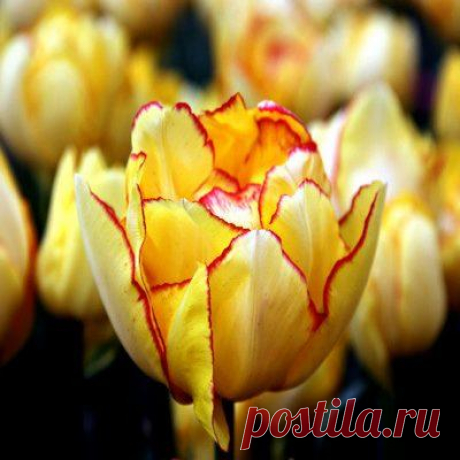 Личный кабинет
