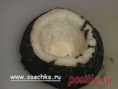 Редька с медом от кашля - дети и рукоделие