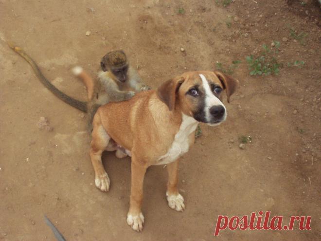 Выгодная дружба