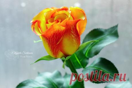 В продолжении уходящей осени... Бокаловидная роза в персиковых оттенках. Зефирный фоамиран.