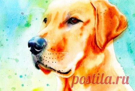 Вот, кому Желтая Собака принесет счастье по восточному знаку Зодиака Наконец-то счастье придет ко мне! Желаю Вам того же!
 




 
 
 
 
 








Астрологи прогнозируют довольно удачный год для всех нас. Собака любит трудолюбивых и упорных, а также-весьма справедлива.П…