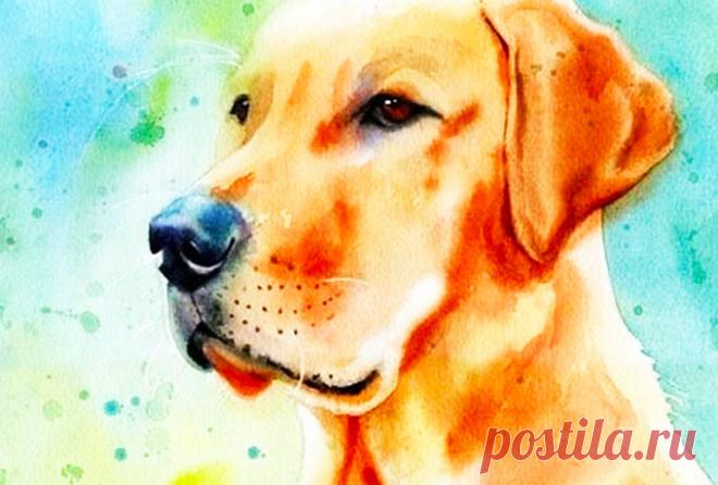 Вот, кому Желтая Собака принесет счастье по восточному знаку Зодиака Наконец-то счастье придет ко мне! Желаю Вам того же!
 




 
 
 
 
 








Астрологи прогнозируют довольно удачный год для всех нас. Собака любит трудолюбивых и упорных, а также-весьма справедлива.П…