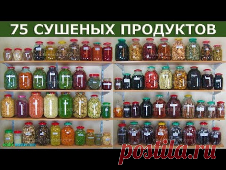 Мы высушили 75 продуктов в Ezidri. Посмотрите на результаты.