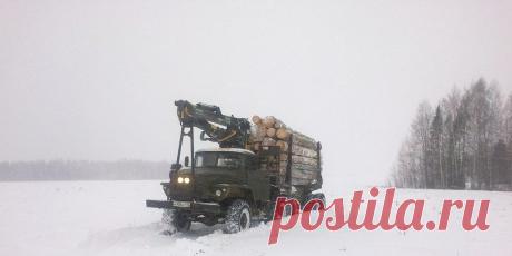 Аренда лесовозов в Екатеринбурге.
Свободны от7 шт лесовозов в Екатеринбурге.
Скания .вольво. 40 куб
лесовозы с манипуляторами ,
вездеходы на базе Урал.краз.маз.Камаз.
Цена: 8 руб.куб.км
https://special-service.info/
frizen196910@mail.ru 
89045471839