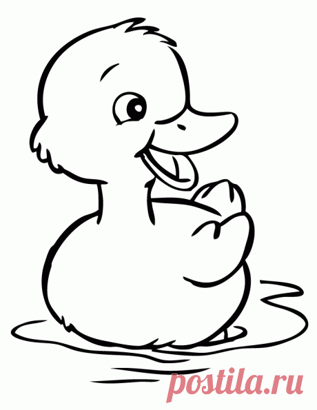 Картинка раскраска утенок