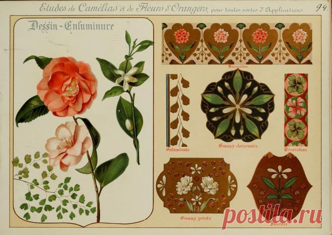 Fleurs d'après nature et fleurs ornementales : études de fleurs et feulliages avec diverses interprétations applicables à l'enluminure et à la décoration : Guillot, Ernest : Free Download, Borrow, and Streaming : Internet Archive