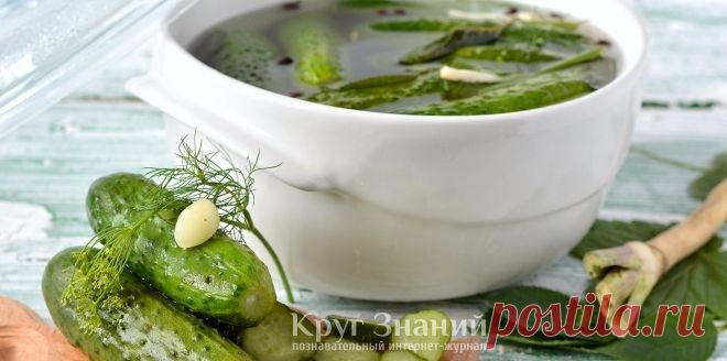 Как приготовить малосольные огурцы - Круг знаний