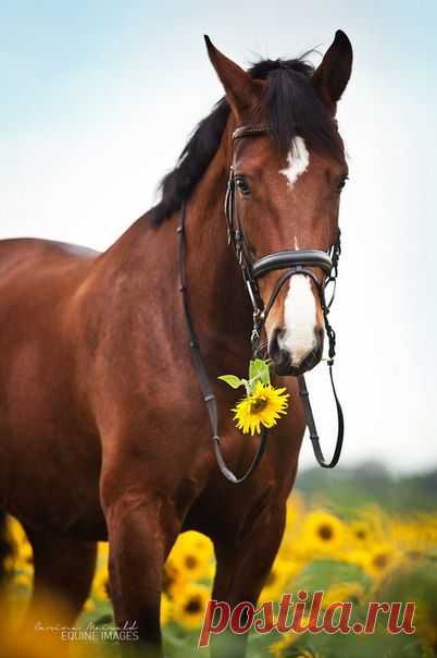 ♥