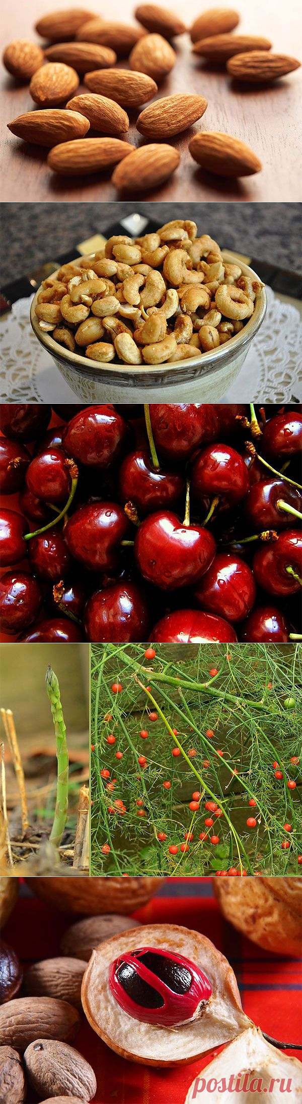 10 ядовитых фруктов и овощей, которые мы едим каждый день