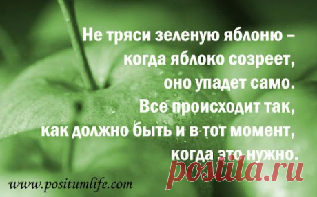 Google+