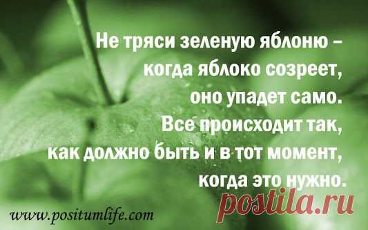 Google+