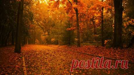 1315803759_EDEEFFE1F0FC.jpg (1920×1080)