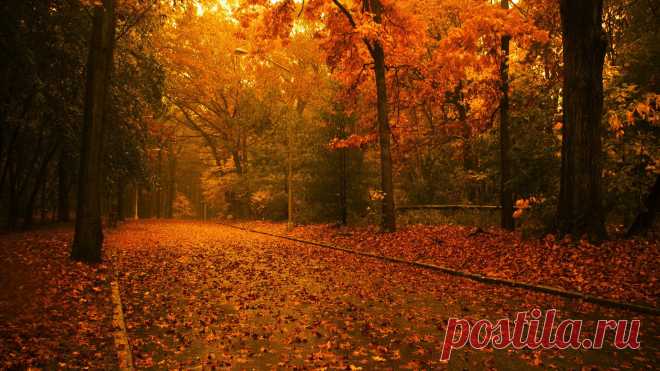 1315803759_EDEEFFE1F0FC.jpg (1920×1080)