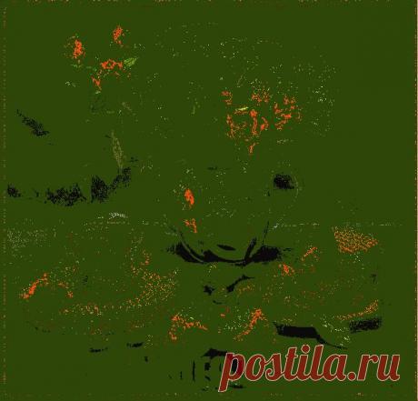 Красивого вечера - Картинки пожелания - Анимационные картинки - Фотоальбомы - Портал онлайн музыки