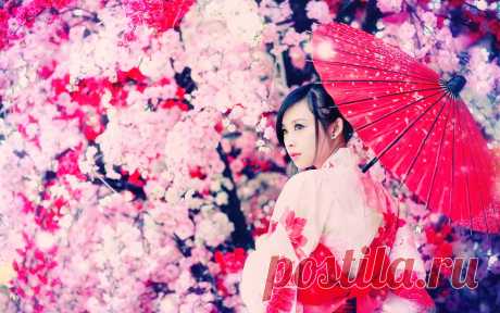 Кто такая гейша?