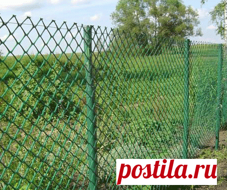 Украшаем забор из сетки рабицы — 6 соток