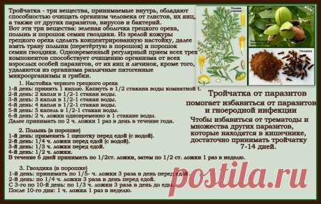 Тройчатка от паразитов