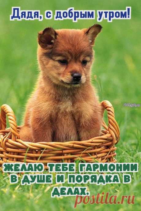 «Доброе утро дядя!»