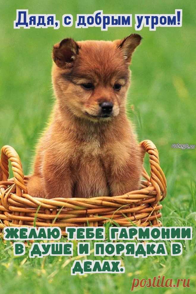 «Доброе утро дядя!»