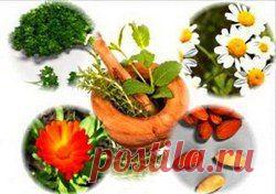 Народные средства от изжоги / Будьте здоровы