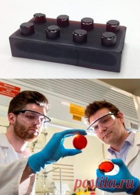 Апельсиновая корка борется с ртутным загрязнением - Экологический дайджест FacePla.net