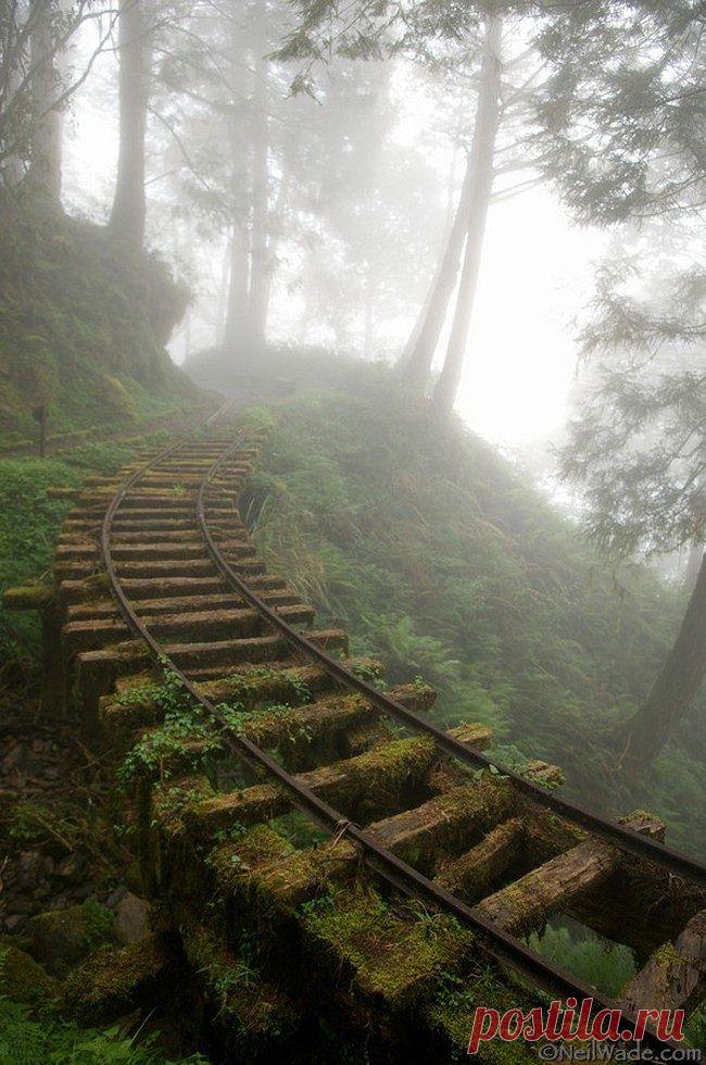 Заброшенная горная дорога, Тайвань