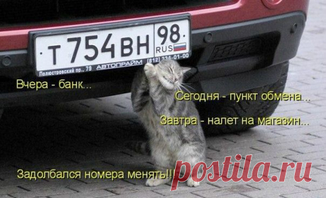 Соучастник)))