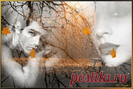 И погода не так уж и безнадежна... - медиаплатформа МирТесен