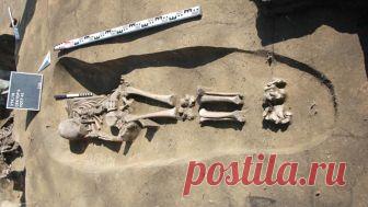 Ученые нашли доказательства древнего каннибализма в Сибири Археологи обнаружили яму для консервирования эпохи раннего неолита в Новосибирской области. В ней находились обработанные человеческие останки.