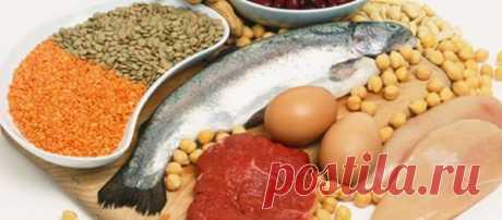 Список белковых продуктов