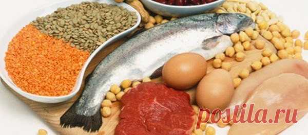 Список белковых продуктов