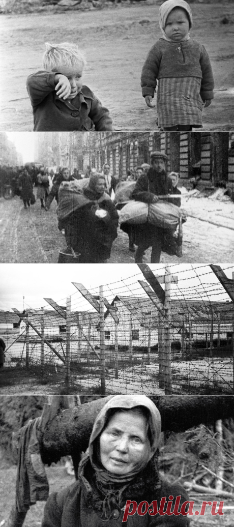 Дети войны: Из концлагеря домой мы шли пешком. Лучше было умереть, чем так идти - «Life.ru» — информационный портал