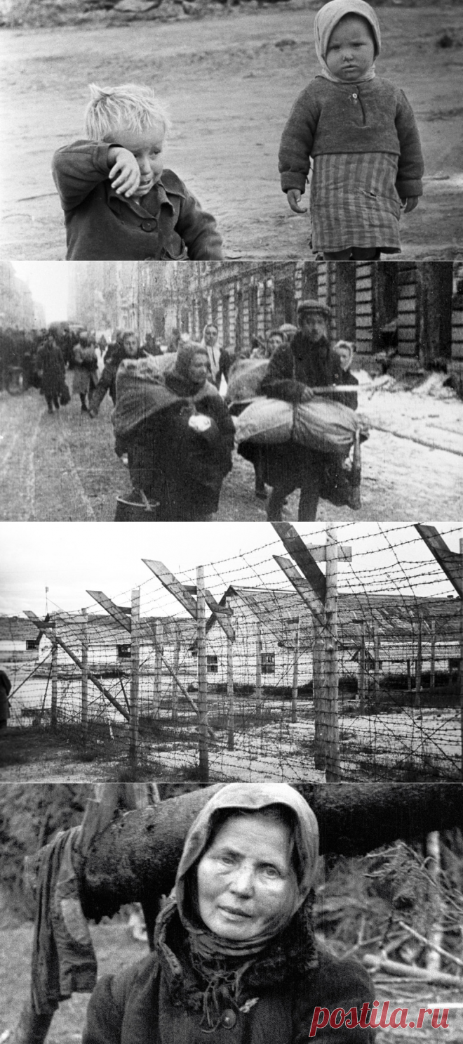 Дети войны: Из концлагеря домой мы шли пешком. Лучше было умереть, чем так идти - «Life.ru» — информационный портал