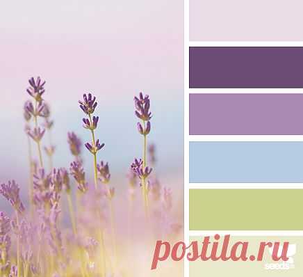Design Seeds® | find your palette
