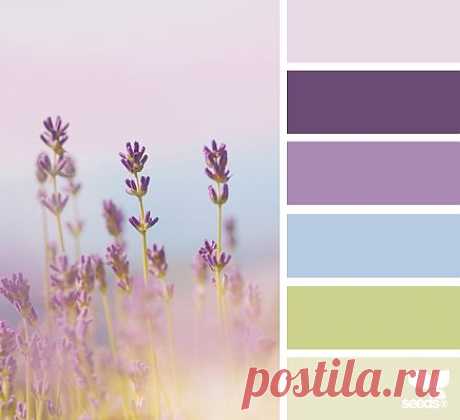 Design Seeds® | find your palette