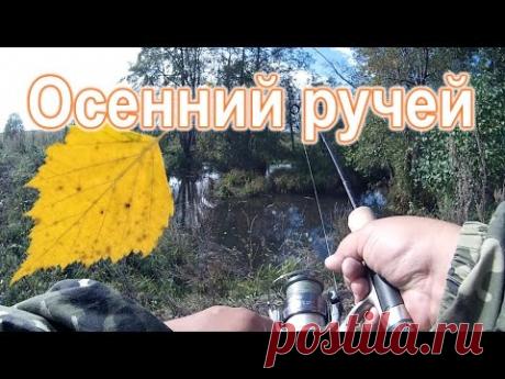 Осенний ручей. Голавль.