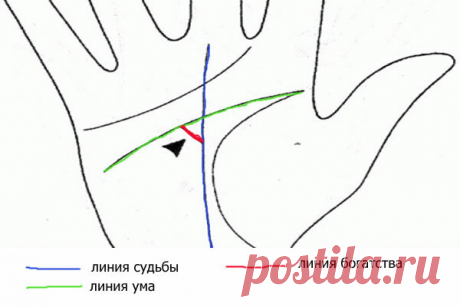 Хиромантия: секреты линии судьбы | Красота внутри вас | Яндекс Дзен